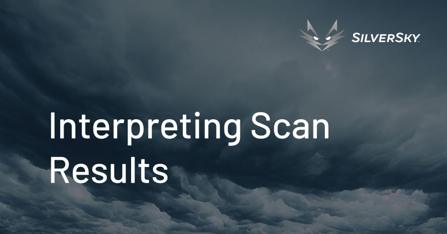 Interpreting Scan Results