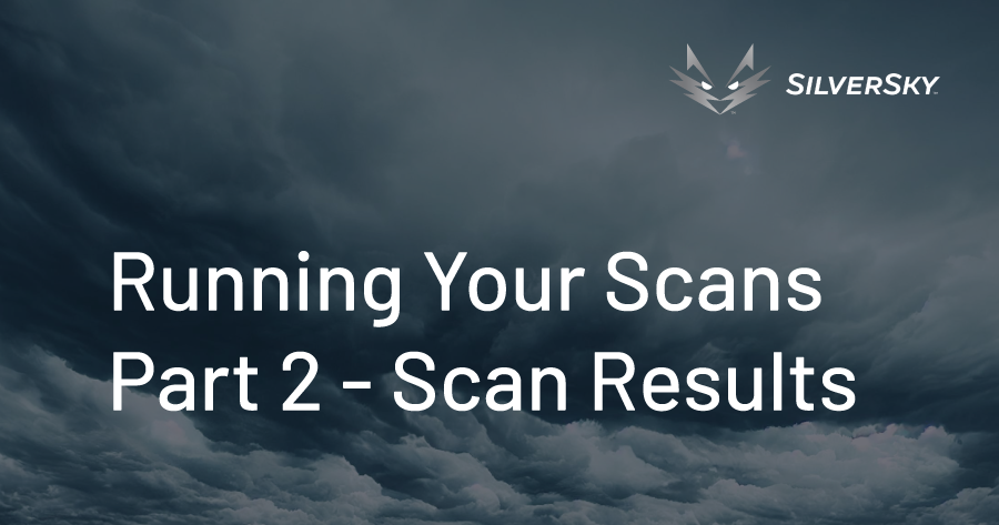 Running Your Scans Part 2 - Scan Results