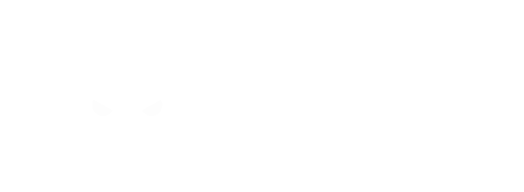 SS_logoSS_White-Horizontal
